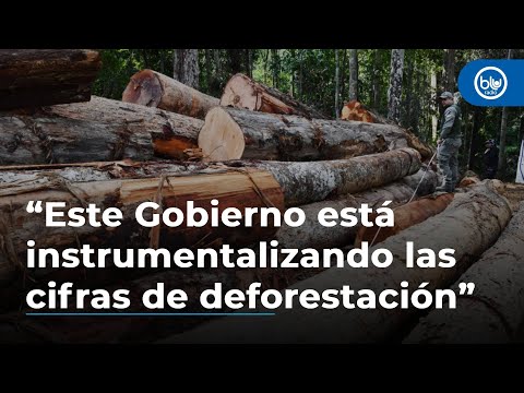 “Este gobierno está instrumentalizando las cifras de deforestación”: denuncia experto