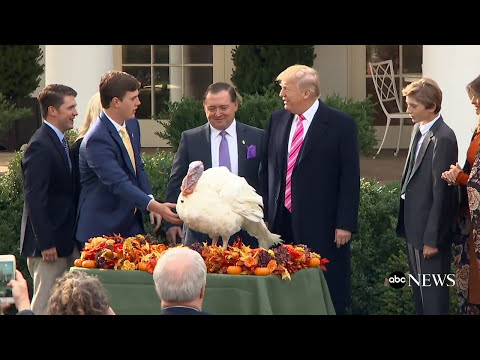 President Donald Trump pardons 2017 Thanksgiving turkeys in traditional ceremony