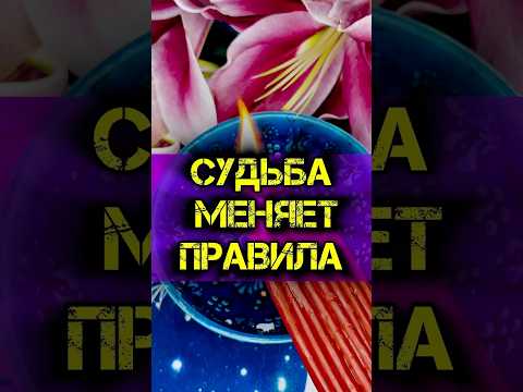 ЭТОТ ДЕНЬ ИЗМЕНИТ ВАШУ СУДЬБУ❗️