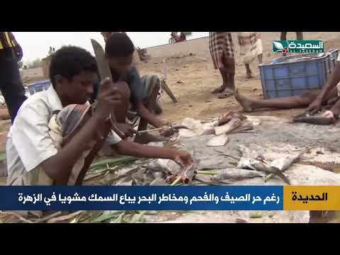 قناة السعيدة الفضائية