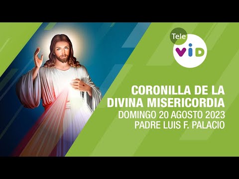 Coronilla de la Divina Misericordia  Domingo 20 de Agosto 2023, Padre Luis F. Palacio - Tele VID