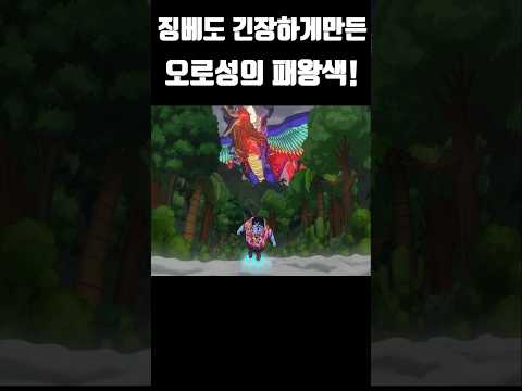 최강의 어인조차 긴장한 오로성 패왕색의패기! #원피스 #onepiece