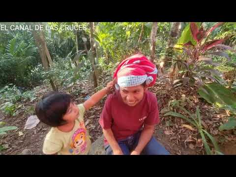 Santo Dios Quemaron a Silvia. Luna consuela a Vicenta. ¿Por que hizo eso Tono?