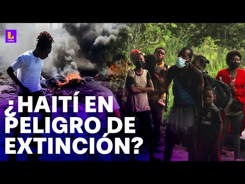 Crisis en Haití: Parece un país en peligro de extinción