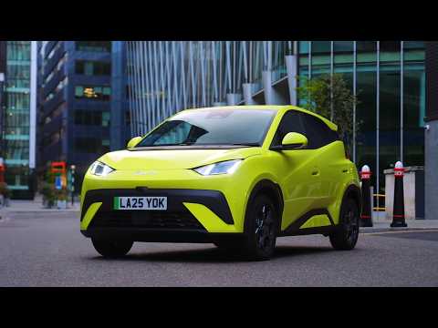 BYD Dolphin Surf Design Preview in Lime Green