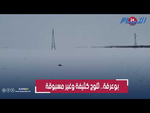 بالفيديو.. ثلوج كثيفة تغطي صحراء بوعرفة وتحوّلها إلى لوحة فنية