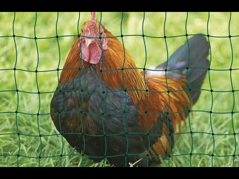 I'm sick so i'm Checking out new slime rancher 2 features