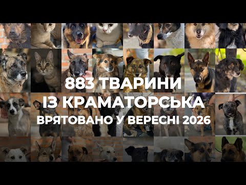 883 ТВАРИНИ З КРАМАТОРСЬКА ВРЯТОВАНО У ВЕРЕСНІ 2026