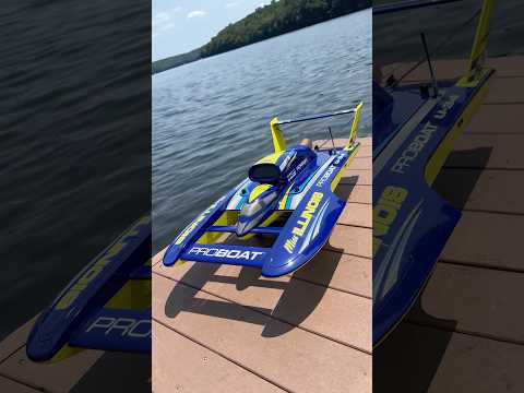 Pro Boat Insane 8S : l’hydroplane ultime en RC
