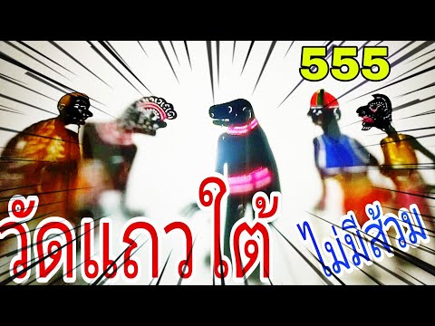 หนังตะลุงหลกๆวัดภาคใต้ส้วมไม