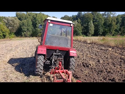 Продам ШИФЕНГ 354 Оранка 2026.