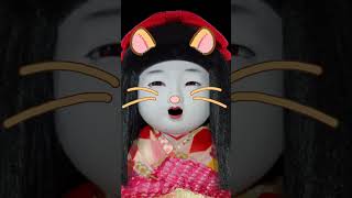 ハムボが上達した市松人形　#ハムボ #shorts