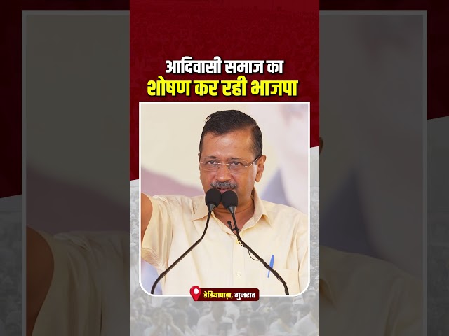 आदिवासी समाज का शोषण कर रही भाजपा 😡👆 #bjpexpose #arvindkejriwal #chaitarvasava #gujarat 

1.  Delhi After BJP Come to Power
https://youtube.com/playlist?list=PLiN7YZXz4nOfUOYjqnVHeXMh9xwidjrXo&si=FFdmOqjQSh9PRINB

2. Punjab Model 
https://youtube.com/playlist?list=PLiN7YZXz4nOfT7cUHInbjueX02t2HcEAV&si=uFmVnFe7O3WwMbkO

3. Arvind Kejriwal, National Convenor, Aam Aadmi Party
https://youtube.com/playlist?list=PLiN7YZXz4nOf0-KSx6KiPeP-HkFLQtjJS&si=mPf-e67EaqKvz-mq

4. Sardar Bhagwant Mann, Hon'ble Chief Minister Punjab
https://youtube.com/playlist?list=PLiN7YZXz4nOfKheUTmbmGPPMkvfZauqel&si=PESYJcnjgILBKl50