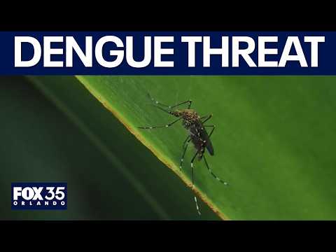 Florida faces unprecedented dengue threat