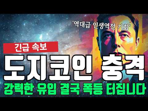 도지코인 충격 강력한 유입 결국 폭등 터집니다