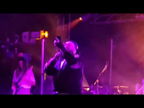Teddy swims (2 moods) 02 academy liverpool.11/7/23 by peter kevan.