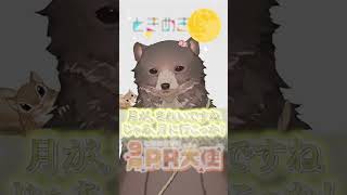 【火曜日担当　クマがやベアとリス】ときめきの海に放出！手軽にときめいてってね✨ #shorts #vtuber #ときめきvr  #ときめき