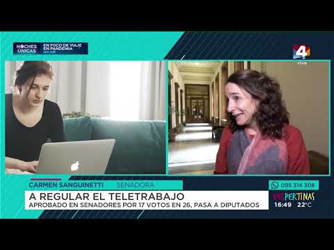 Vespertinas - Teletrabajo: reglamentación a medio camino