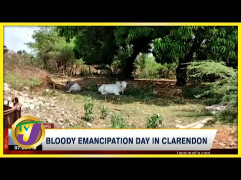 Bloody Emancipation Day in Clarendon | TVJ News - August 2 2021