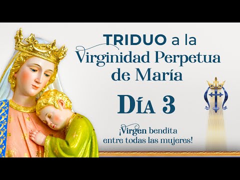 TRIDUO a la Virginidad Perpetua de María Santísima  Día 3 #virgenmaria #triduo