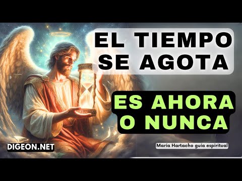 SE ACABA EL TIEMPOMENSAJE DE LOS ÁNGELES PARA TI -DIGEON-  Arcángel Sandalfón -Ens VERTI