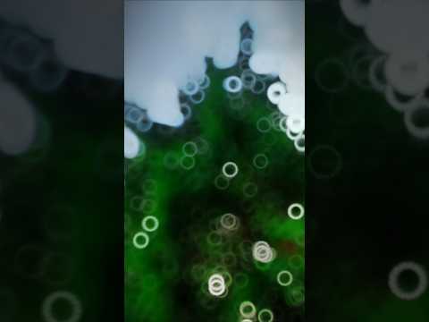 #shorts - Priyanka Dhokha Dele Badi | #Kavita Yadav, #Bhaskar Pandey | New Bhojpuri Hit Song 2025