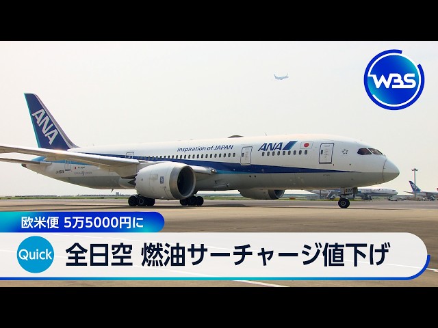 Image of ANA Cuts Fuel Surcharges on International Flights