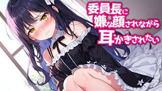 【KU100高音圧・耳かき】委員長に嫌な顔されながら耳かきさせたい【ASMRシチュエーション生配信・立体音響】