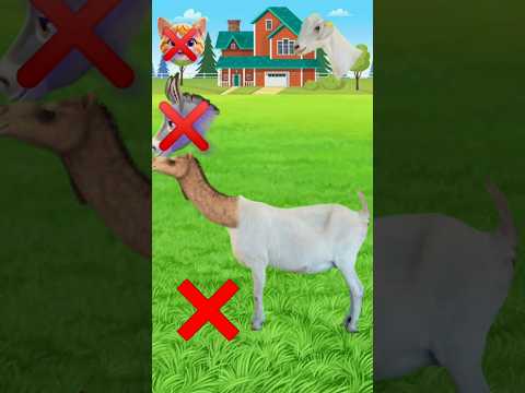 Labbaik ya rasulallah #shorts #viral #trending #status #cartoon #funny #duet #islamic #bhutwala