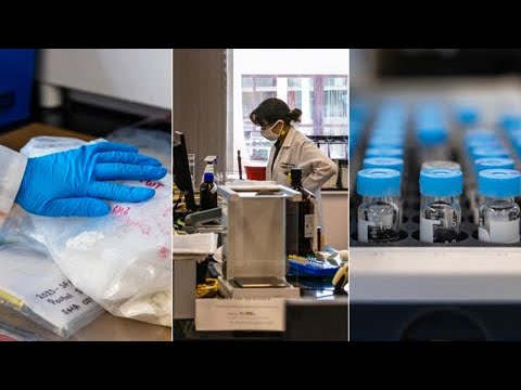 Alarmante aumento en la mezcla de drogas con fentanilo: entramos al laboratorio de la DEA en Miami