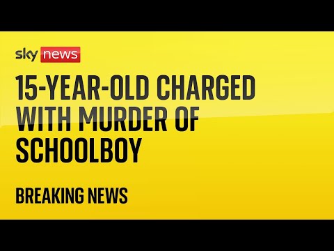 Boy charged with murder after teenager stabbed at Sheffield school