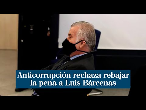 Anticorrupción concluye que los papeles Bárcenas son reales aunque su testimonio genera dudas