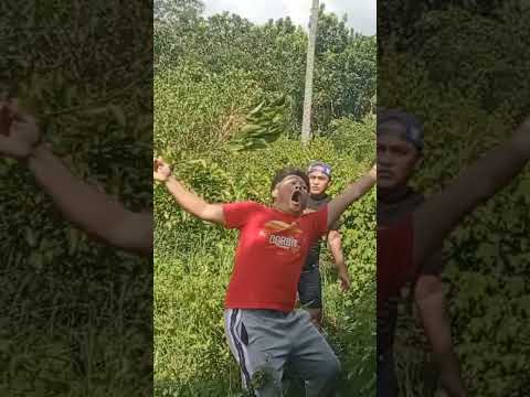 Akala ko anuyonng tumakbo sa daan #video #trending #funny #fyp #viral