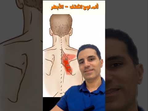 سبب وجع اللوح (الأبهر) اللي محدش بيقولك عليه 😱 وطرق العلاج الصحيحة