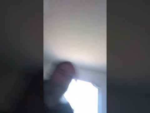 #viralcats #bigcat #kitty #funny #titanic