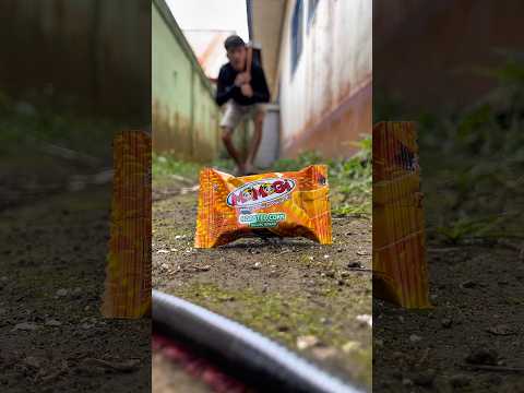 Please wake up, the millipede has been waiting beside your pillow all night.#shortvideo#centipede