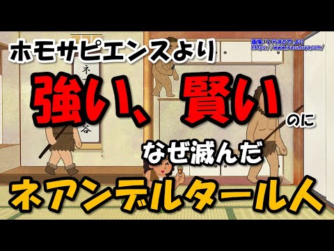 ネアンデルタール人～身体能力も知能もホモサピエンスより上なのになぜ絶滅した？【わかりやすく解説世界史】