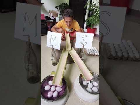 Sorting tayo #video #trending #funny #fyp #viral