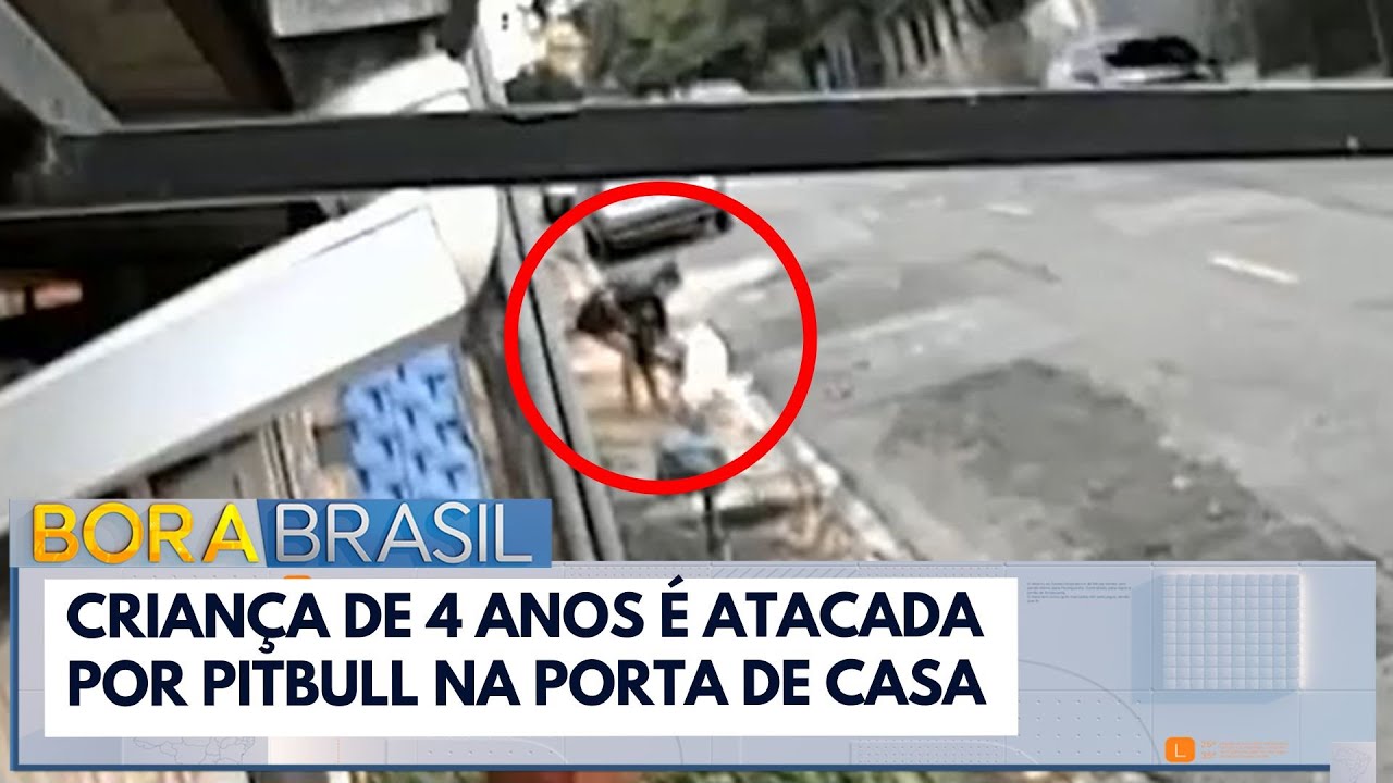 Criança de 4 anos é atacada por Pitbull na porta de casa | Bora Brasil