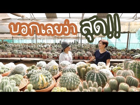 สุด!!-โชคดีสุดๆที่อาป้อมพาชมแค สุด!!-โชคดีสุดๆที่อาป้อมพาชมแค
