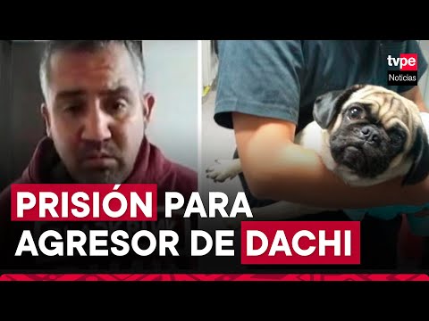 Caso Dachi: PJ ordenó 1 año y 6 meses de prisión para agresor de perrita pug