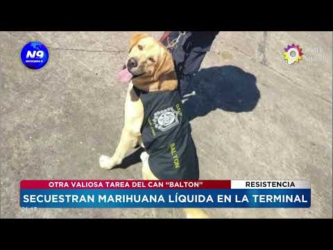 Secuestran marihuana líquida en la Terminal de Ómnibus de Resistencia - NOTICIERO 9