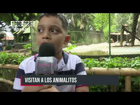 Familias disfrutan paseo por el Zoológico Nacional donde hay impresionantes animales - Nicaragua