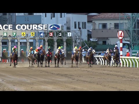 アタック！地方競馬｜第326回｜詳報 さきたま杯｜NAR公式