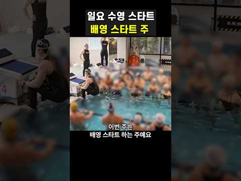 수영 배영 스타트 <strong>주</strong>