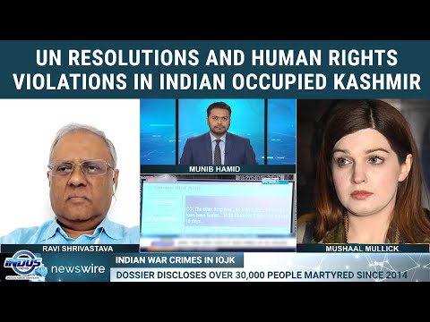 UN Resolutions and Human Rights Violations in Indian Occupied Kashmir | Mushaal Hussein Mullick