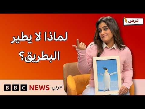 لماذا لا يطير البطريق؟ وكيف نقدم نصيحة بالإنجليزية؟ | برنامج درس #5