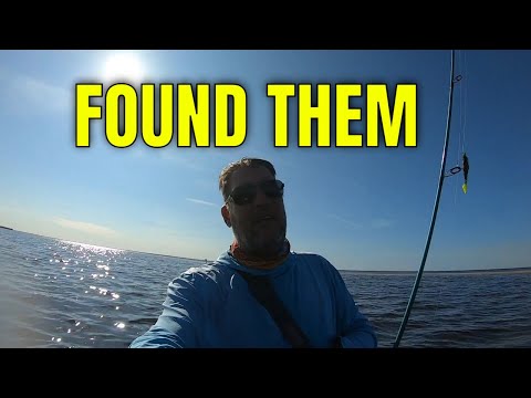 HIT THE EAST WALL sandbar AND found A trophy.. Workin DA GUTS!! video thumbnail