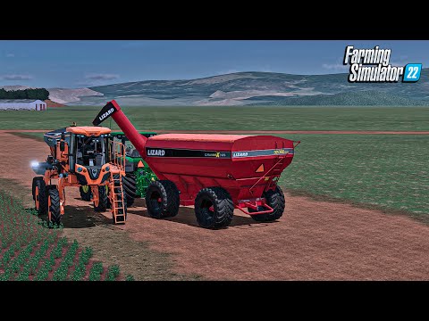 Fazenda simulada #81 | Adubando feijão | Plantando eucalipto | Farming simulator 22 |