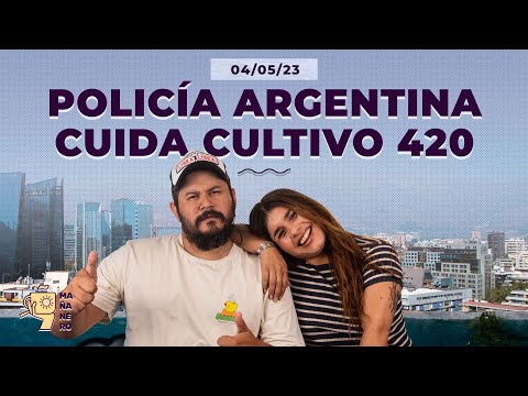 LAS VUELTAS DE LA VIDA: POLICÍA CUIDA PLANTACIÓN 420